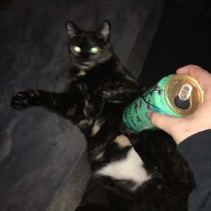 Meet your Posher, Giovanni